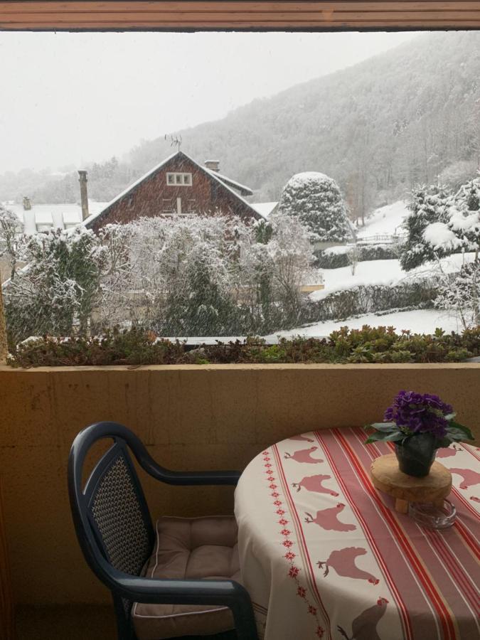 Appartement Vue Montagne Avec Wifi แซ็งต์-ลารีย์-ซูว์ลอง ภายนอก รูปภาพ